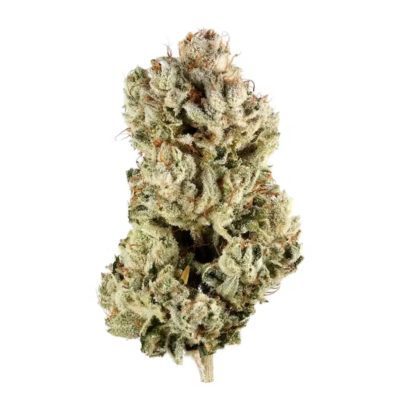 Gorilla Glue #4