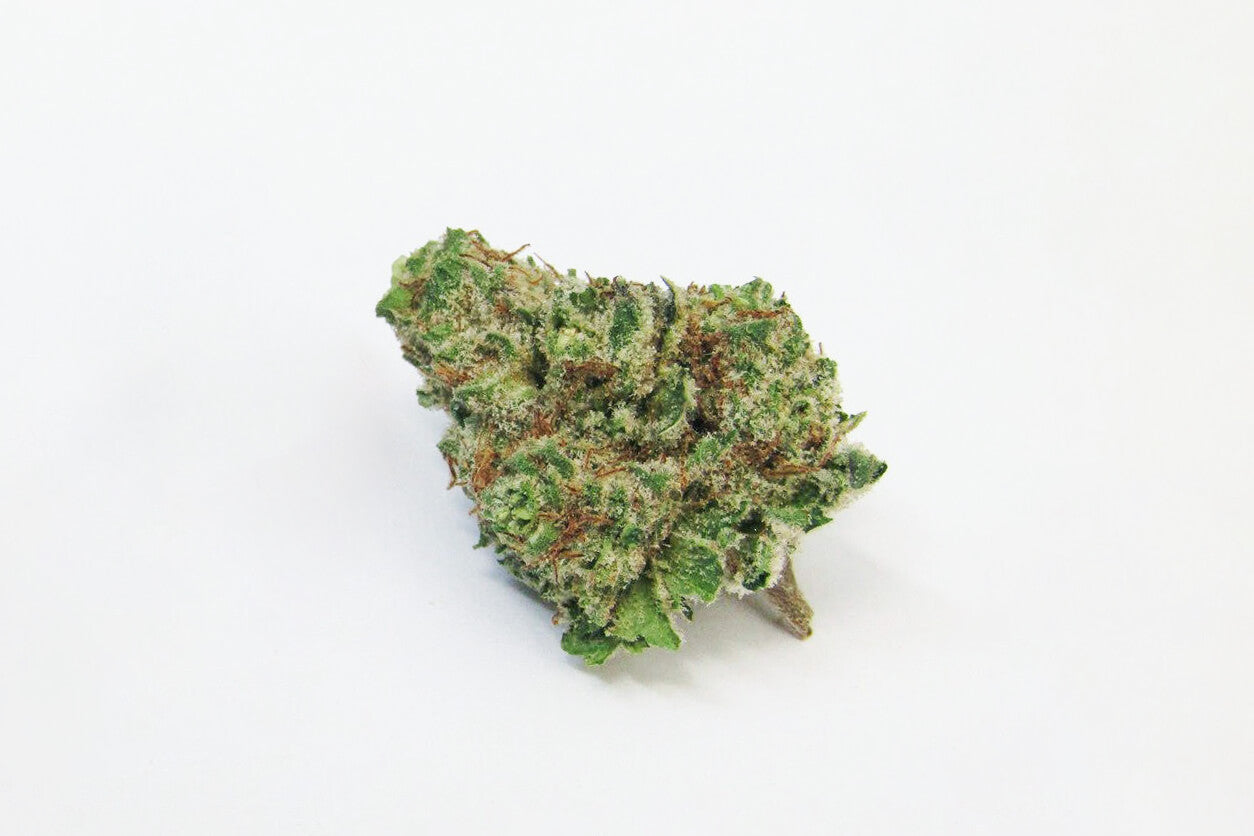 Mimosa