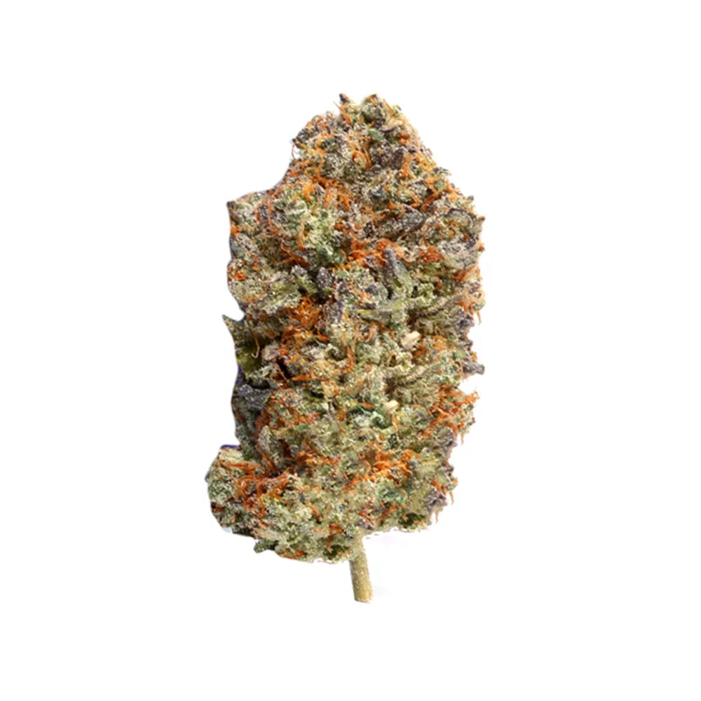 Grease Monkey